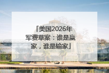 美国2026年军费草案：谁是赢家，谁是输家