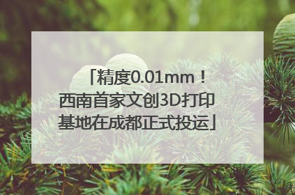 精度0.01mm！西南首家文创3D打印基地在成都正式投运