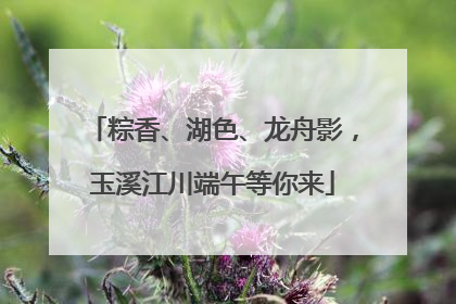 粽香、湖色、龙舟影，玉溪江川端午等你来