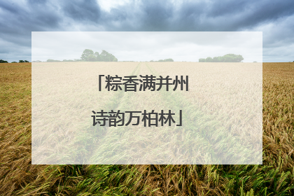 粽香满并州 诗韵万柏林