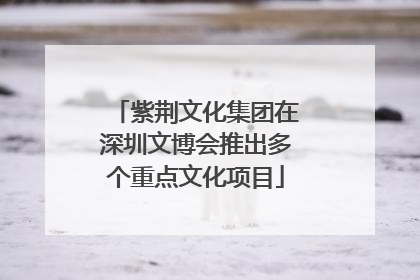 紫荆文化集团在深圳文博会推出多个重点文化项目