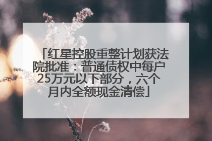 红星控股重整计划获法院批准：普通债权中每户25万元以下部分，六个月内全额现金清偿