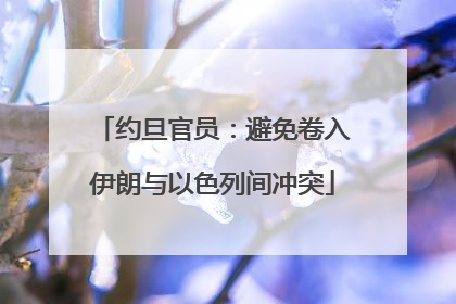约旦官员：避免卷入伊朗与以色列间冲突