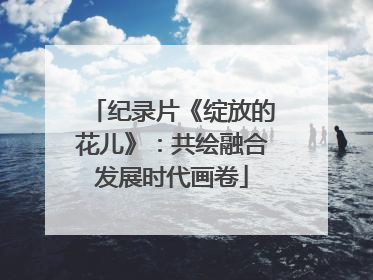 纪录片《绽放的花儿》：共绘融合发展时代画卷