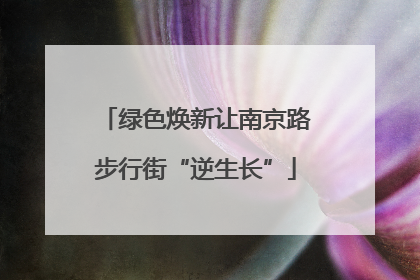 绿色焕新让南京路步行街“逆生长”