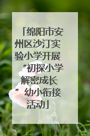 绵阳市安州区沙汀实验小学开展“初探小学 解密成长”幼小衔接活动