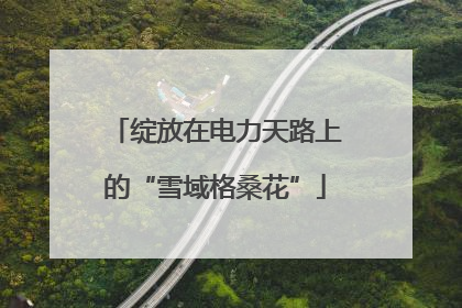 绽放在电力天路上的“雪域格桑花”