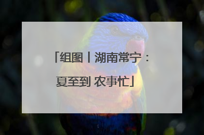 组图丨湖南常宁：夏至到 农事忙