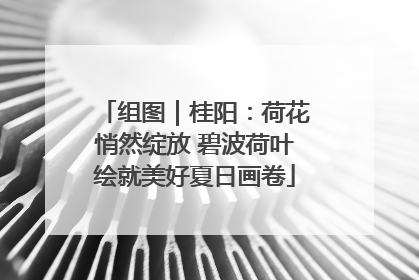 组图｜桂阳：荷花悄然绽放 碧波荷叶绘就美好夏日画卷