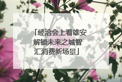 经洽会上看雄安 解锁未来之城智汇消费新场景