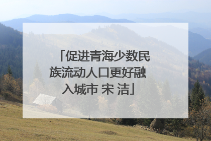 促进青海少数民族流动人口更好融入城市 宋 洁