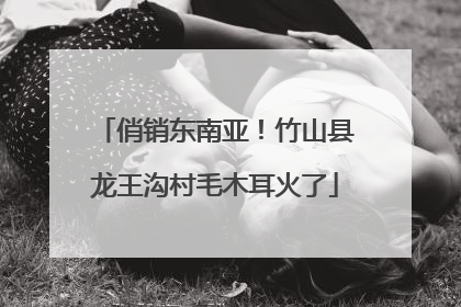 俏销东南亚！竹山县龙王沟村毛木耳火了