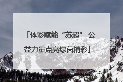 体彩赋能“苏超” 公益力量点亮绿茵精彩