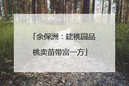 余保洲：建桃园品桃卖苗带富一方