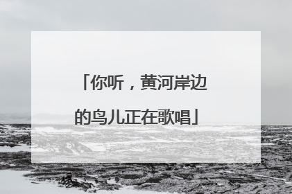 你听，黄河岸边的鸟儿正在歌唱