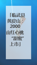 临武县黄皮山：2000亩红心桃“甜蜜”上市