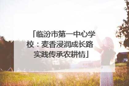 临汾市第一中心学校：麦香浸润成长路 实践传承农耕情