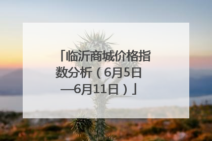 临沂商城价格指数分析（6月5日—6月11日）