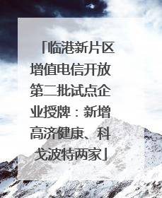 临港新片区增值电信开放第二批试点企业授牌：新增高济健康、科戈波特两家