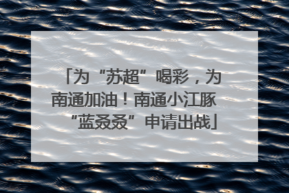 为“苏超”喝彩，为南通加油！南通小江豚“蓝叒叒”申请出战