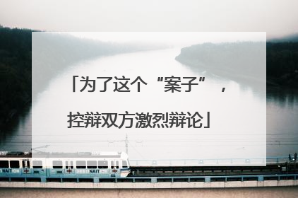 为了这个“案子”，控辩双方激烈辩论