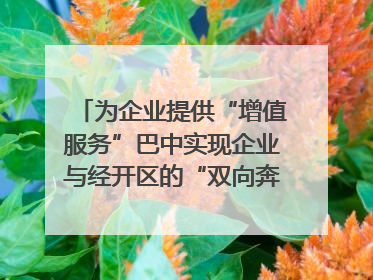 为企业提供“增值服务”巴中实现企业与经开区的“双向奔赴”｜川陕渝网络名人巴中行