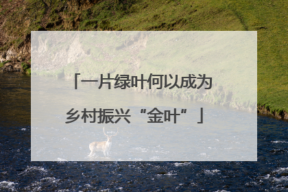 一片绿叶何以成为乡村振兴“金叶”