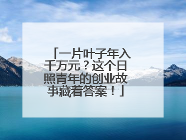 一片叶子年入千万元？这个日照青年的创业故事藏着答案！