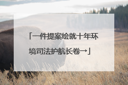 一件提案绘就十年环境司法护航长卷→