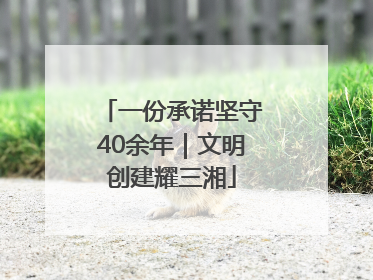 一份承诺坚守40余年｜文明创建耀三湘