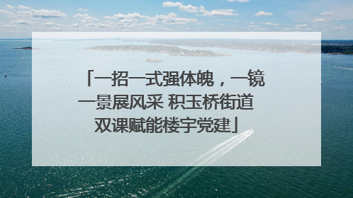一招一式强体魄，一镜一景展风采 积玉桥街道双课赋能楼宇党建