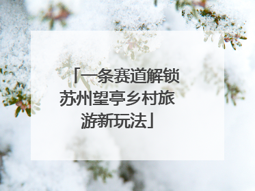 一条赛道解锁苏州望亭乡村旅游新玩法
