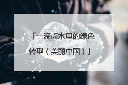 一滴卤水里的绿色转型（美丽中国）