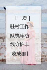 三夏｜驻村工作队筑牢防线守护丰收成果