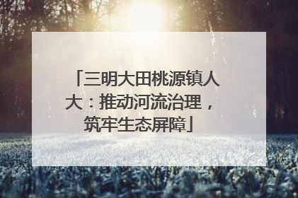 三明大田桃源镇人大：推动河流治理，筑牢生态屏障