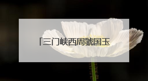 三门峡西周虢国玉器精品展亮相杭州