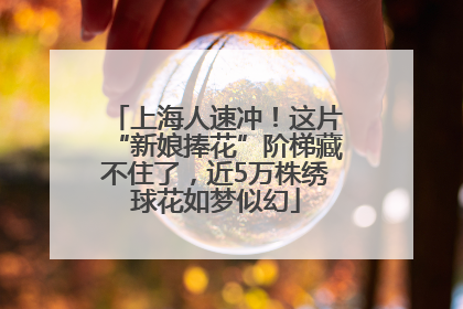 上海人速冲！这片“新娘捧花”阶梯藏不住了，近5万株绣球花如梦似幻