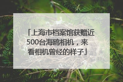 上海市档案馆获赠近500台海鸥相机，来看相机曾经的样子