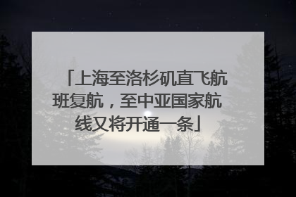 上海至洛杉矶直飞航班复航，至中亚国家航线又将开通一条