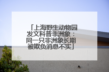 上海野生动物园发文科普非洲象：同一只非洲象长期被欺负消息不实