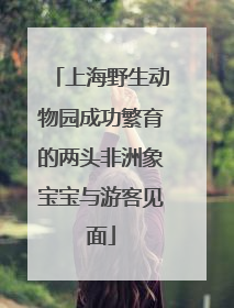 上海野生动物园成功繁育的两头非洲象宝宝与游客见面