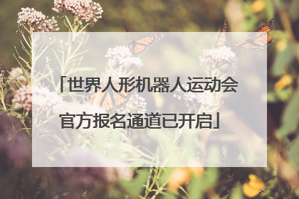 世界人形机器人运动会官方报名通道已开启