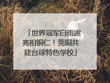 世界冠军白雨露亮相铜仁！莞铜共建台球特色学校