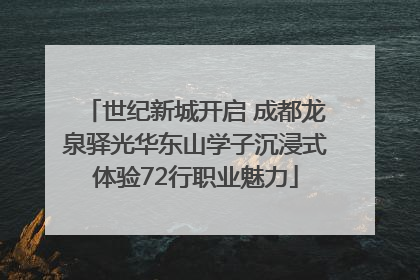 世纪新城开启 成都龙泉驿光华东山学子沉浸式体验72行职业魅力