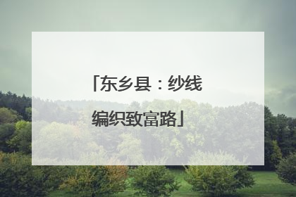 东乡县：纱线编织致富路