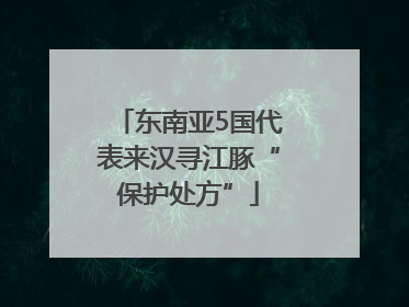 东南亚5国代表来汉寻江豚“保护处方”