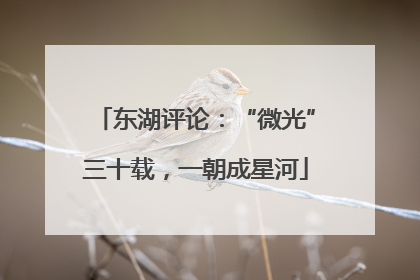 东湖评论：“微光”三十载，一朝成星河