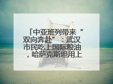 中亚班列带来“双向奔赴”：武汉市民吃上国际粮油，哈萨克斯坦用上鄂产光电屏