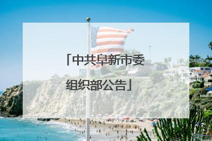中共阜新市委组织部公告