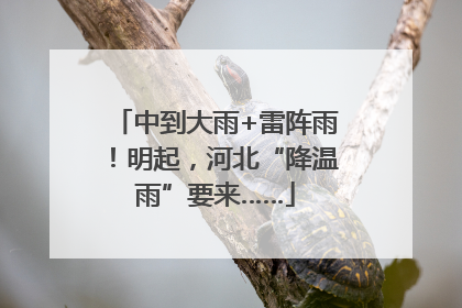 中到大雨+雷阵雨！明起，河北“降温雨”要来……